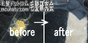 かつら修理例5