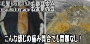 カツラ修理心配無用2