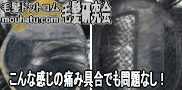 カツラ修理心配無用3