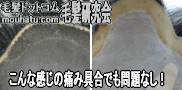 カツラ修理心配無用4