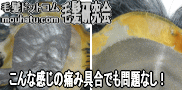 カツラ修理心配無用5