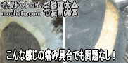 カツラ修理心配無用6