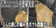 カツラ修理心配無用7