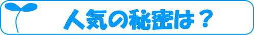 人気の秘密