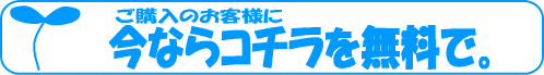 今ならこちらを無料で。