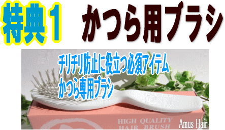 かつら用ブラシ。